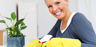 Cleaning services, window cleaning, carpet cleaning, house cleaning, apartment cleaning